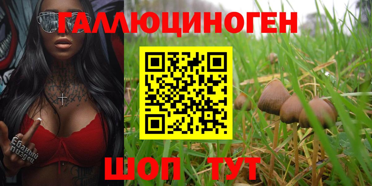 Псилоцибиновые грибы мухоморы Ефремов