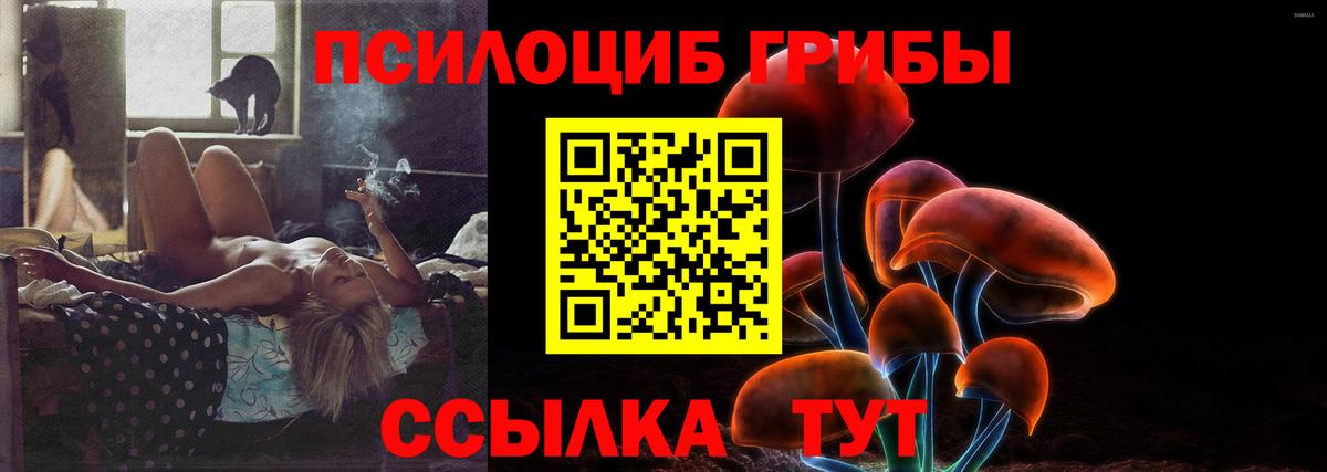 Галлюциногенные грибы Psilocybe  Вход с VPN  Ефремов 